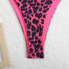 New Leopard Print Sexy Bikini Suspender Swimsuit Women's High-end Beach Hot Spring Swimsuit