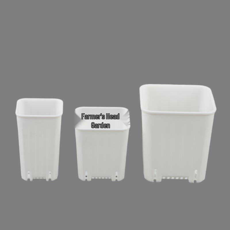 Square Root Control Succulent Pot: Short & Chubby Plastic Flower Pot for Seedlings or Kindergarten Activities