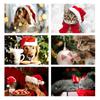 Pet Themed Christmas Photography Backdrop,Party Banner,Wall Decor,for Parties Backdrops,Holiday Decor,Photo Studio