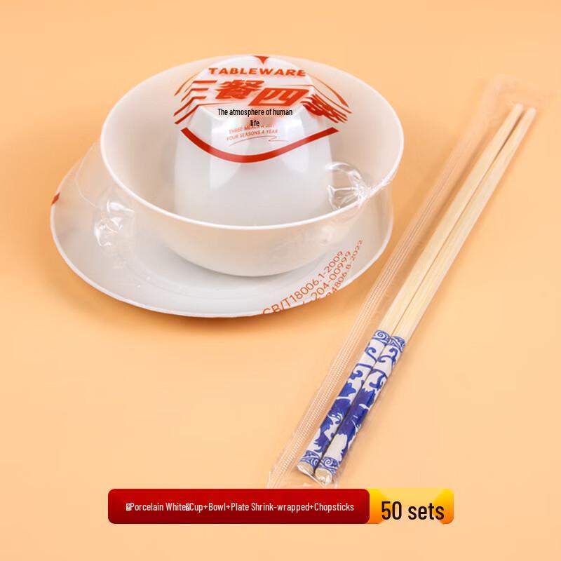 ZISIZ Disposable Dinnerware Set