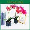 Potted Simulated Phalaenopsis Artificial Flower Desktop Ornament Decoration