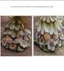 Vintage Flower Fairy Resin Garden Ornament - Angel Sculpture