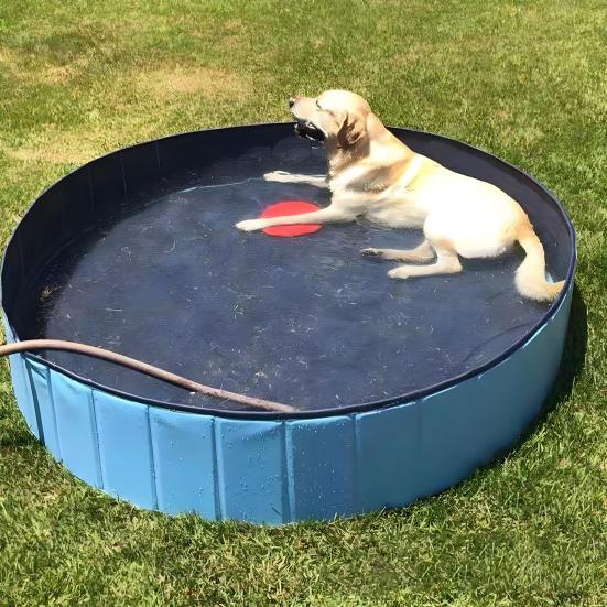 Foldable Pet Pool Large PVC Dog Bath Tub with Drain Valve Non-Slip Base Children Sandbox Pool for Outdoor Beach Use