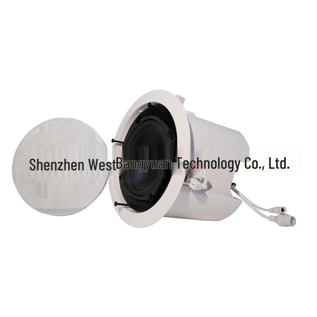 IP Network Ceiling Speaker