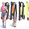 Double Stretch Running Dog Leash Reflective Dog Traction Rope Pet Walking Leash  for Dogs Cats