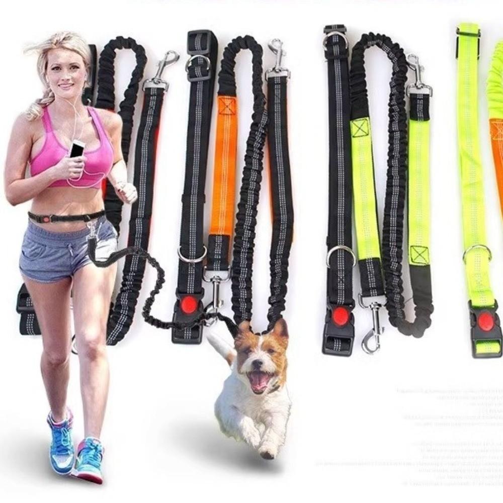 Double Stretch Running Dog Leash Reflective Dog Traction Rope Pet Walking Leash  for Dogs Cats