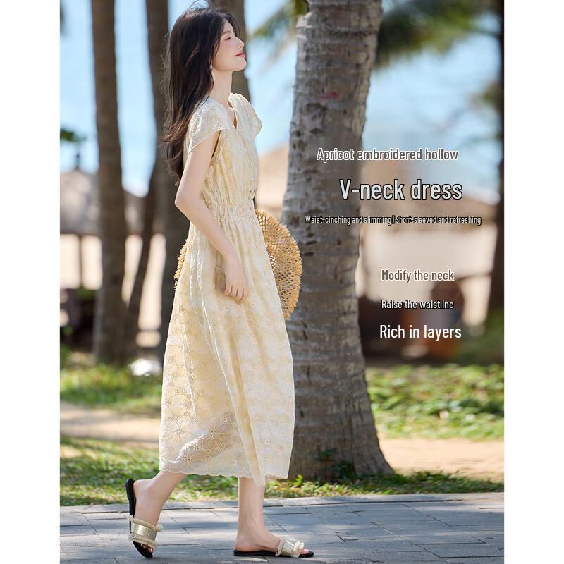 French Elegant Embroidered V-Neck A-Line Dress L
