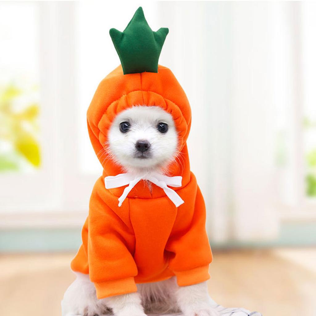 Cute Fruit Dog Clothes for Small Dogs hoodies Warm Fleece Pet Clothing Puppy  Costume Coat for French Chihuahua Jacket Suit