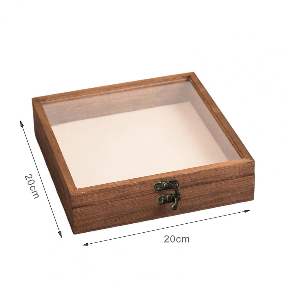 Wooden Display Case Butterfly Shadow Box Multiple Sizes Large Insect Specimens Storage Display Case High-quality Display Cabinet