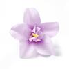 5/10/20Pcs 8cm Artificial Flowers Head Silk Orchid Flowers for DIY Wedding Party Craft Home Decoration Wreath Accessories