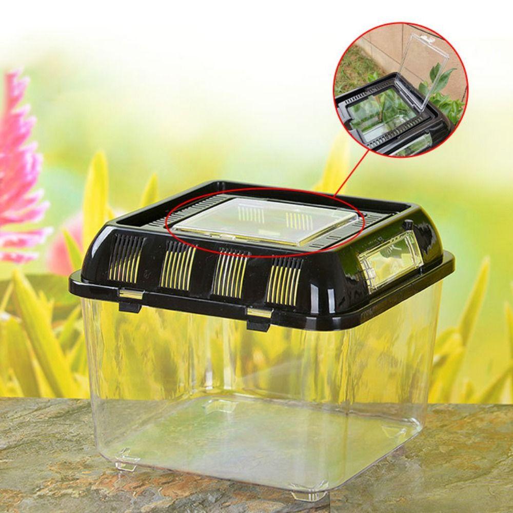 Plastic Fish Bowl Handheld Reptile Carrier Peractical Portable Fish Tank  Aquarium