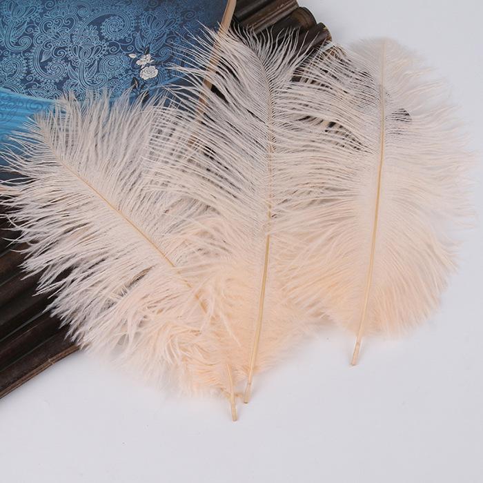 

20 -25cm Ostrich Feathers Colorful Feathers Home Decoration Flower Arrangement Wedding Ostrich Feathers 10pcs дубильная кора