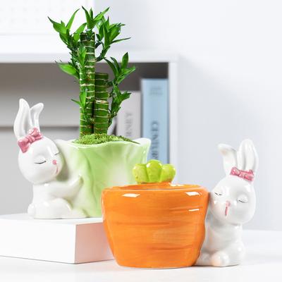 Cute Rabbit Flower Pot Ceramic Succulent Pot Planter Home Decor Indoor Decoration Desktop Ornaments Bonsai Plant Pot