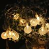 40 LED Warm White Globe String Lights Waterproof Remote Control Fairy Lights