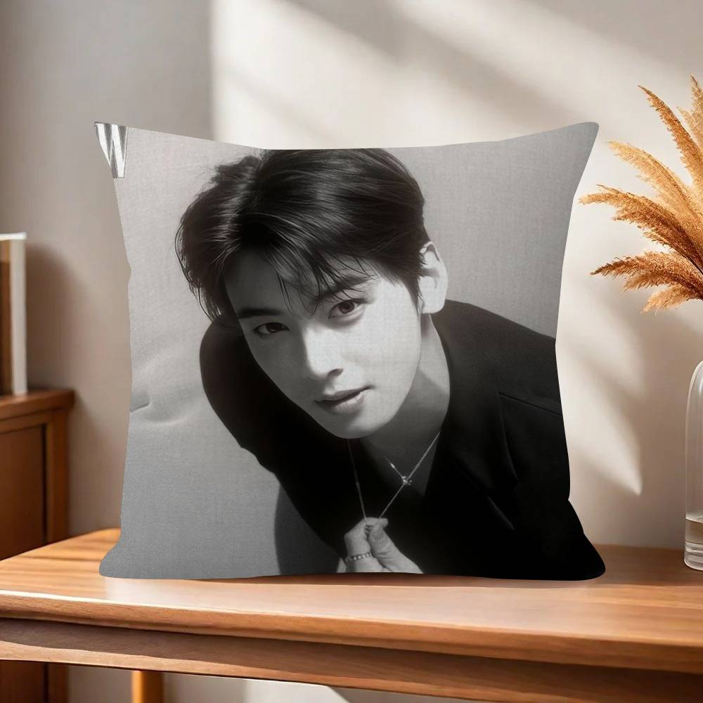Singer Cha Ido EunWoo  45*45cm Cushion Cover Pillow Cover Decor Pillowcase Home Pillowcase for Couch Pillow