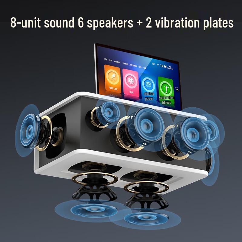 Soaiy SA-K2501 Home KTV Audio System with Microphone CN Plug (adapter Included)