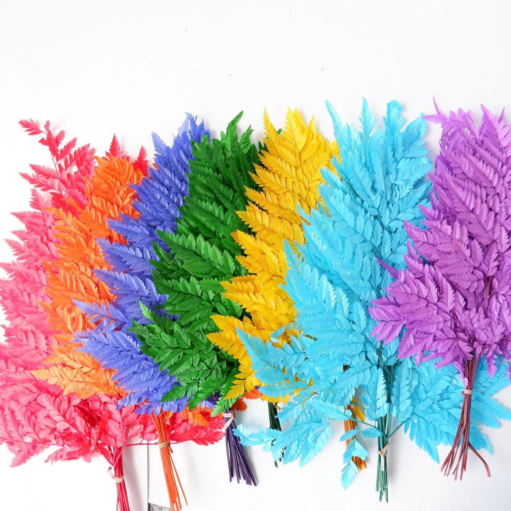 Eternal Alpine Fern Golden Alpine Fern Leaf Immortal Flower Dried Flower Bouquet Wedding Decoration With Grass