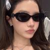 Fashion cat eye sunglasses bow decorative sunglasses women's high-end street photo UV-proof sunglasses