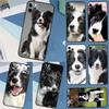 Border Collie Hond Hoesje Voor Samsung Galaxy A32 A12 A22 A52 A35 A26 A16 A05 A55 A15 A54 A34 A14 A56 A36 A13 A53