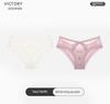 Victtoia Mrs Sexy Lace Panties for Women, Mesh Transparent Hollow-Out Semi-Coverage Seductive Briefs