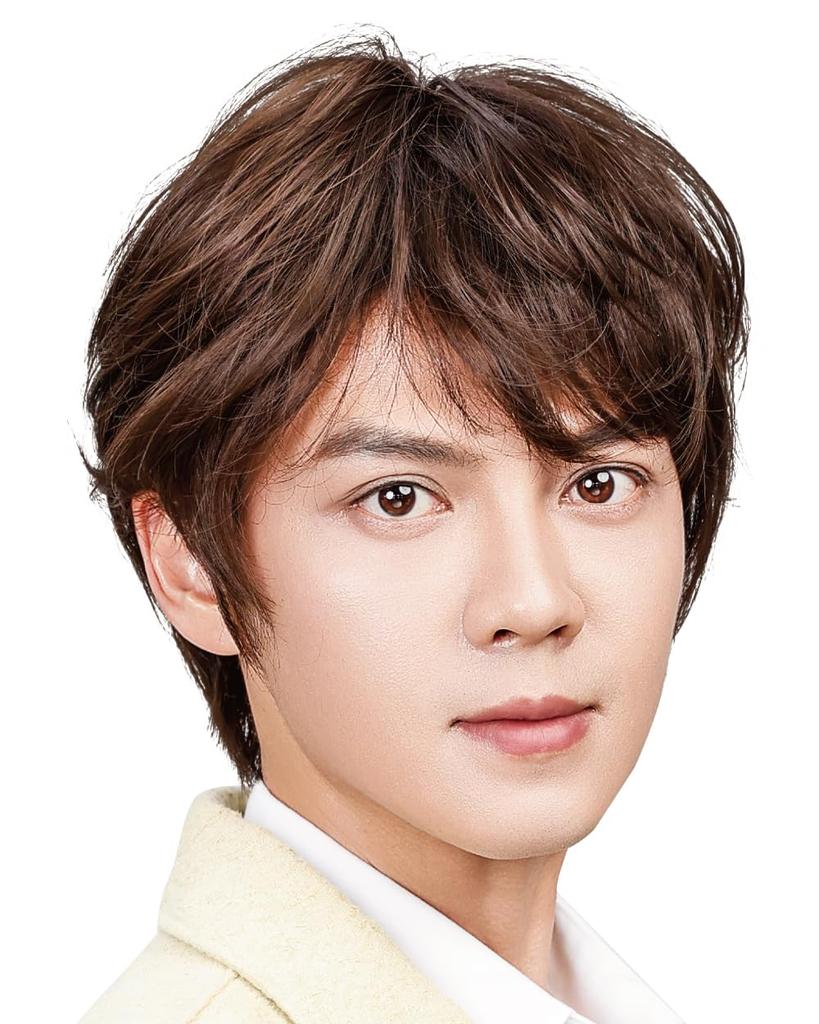 TefuRe Professional Short Medical Easy to Matte One Size Fits Includes Wig for Thinning Hair Gray Hair Handsome Short Wig Men's Wig, Wig, Use,