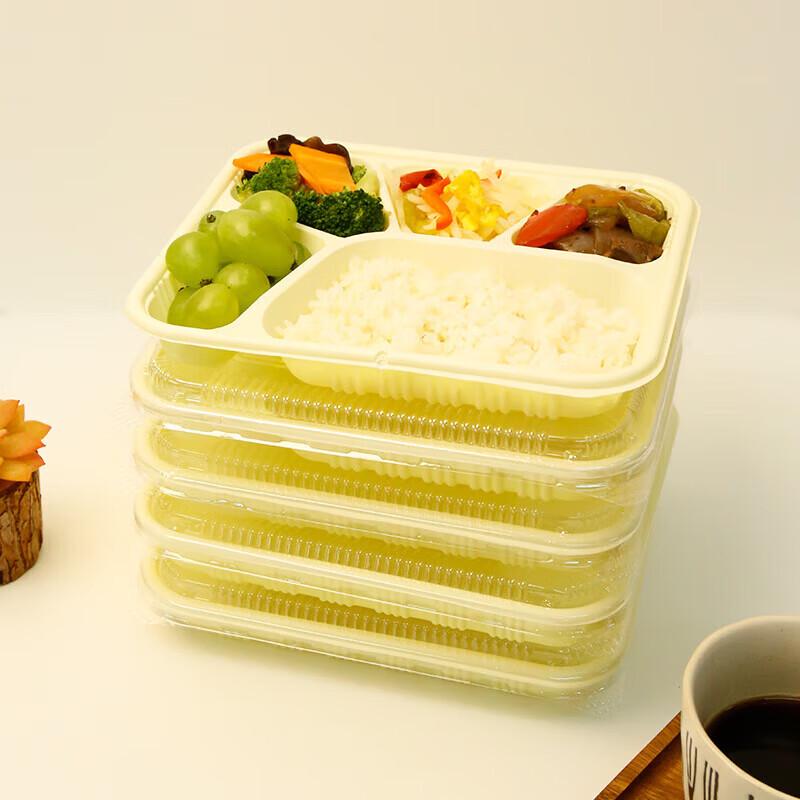 Disposable 5-Compartment Lunch Box