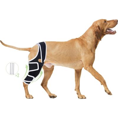 Strong Support Knee Dog Knee Brace For Back Leg