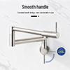 Handun Rose Gold Universal Wall-Mounted Kitchen Faucet
