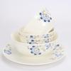Northern Scenery Blue Peacock Bone China Dinnerware Set