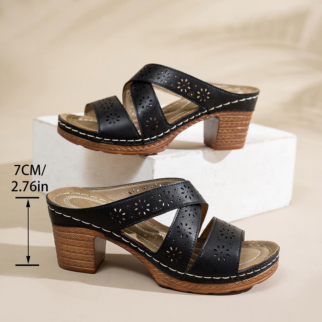 Sandals 2025 Spring and Summer New Style Coarse High Heels One Word Fish Mouth Cold Slippers Roman Slippers