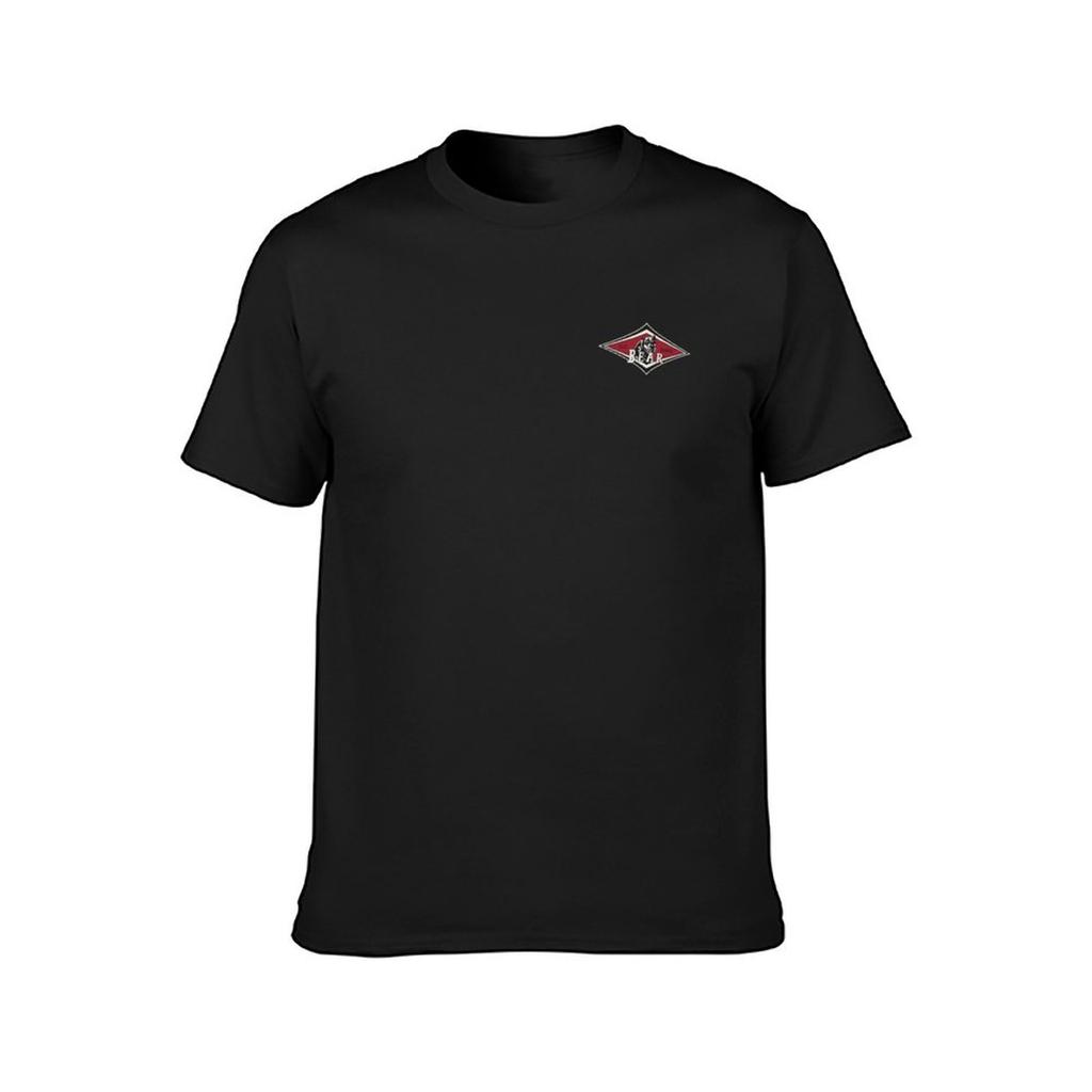 Baesic Bear Tavole da Surf T-Shirt magliette magliette grafiche ragazzi stampa animale appassionati di sport magliette nere tinta unita per uomo