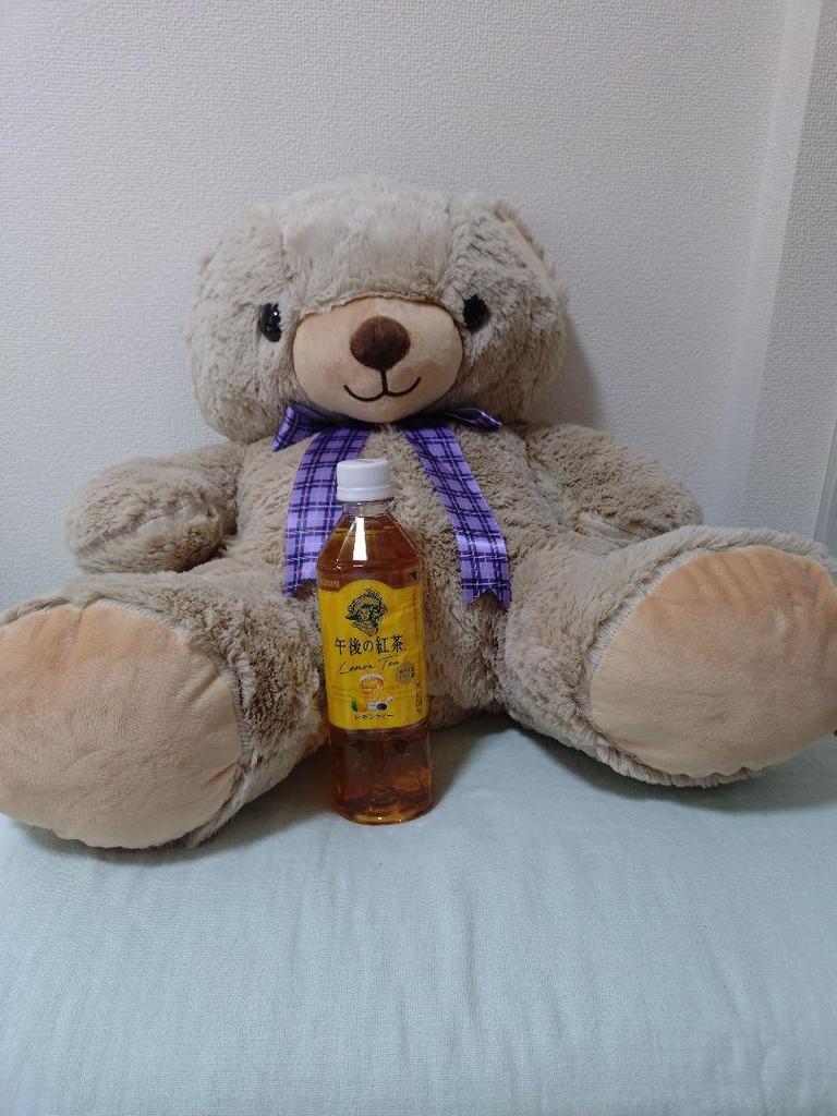 [USED] Bear Stuffed Toy Teddy Bear