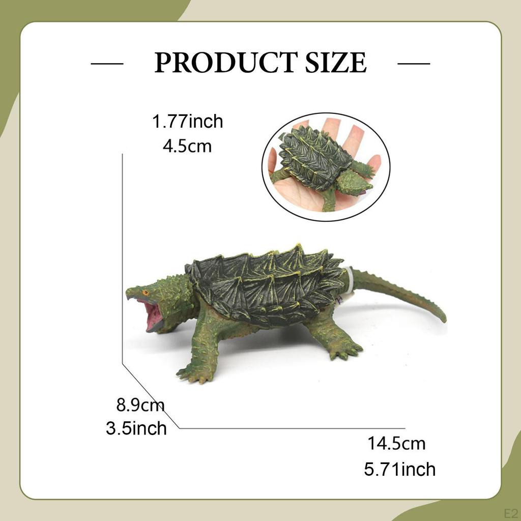 Turtle Model Figure Collectible Realistic Simulated Cake Topper Desktop Decoration Animal