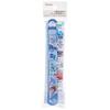 Skater Chopsticks, 16.5cm, with Chopstick Case, Disney Frozen 23, for Girls, Antibacterial, Made in Japan, ABS2AMAG-A