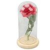 Rose in Glaskuppel Glücklich Schöne Symbolik Romantische Verzauberte Rose Romantische Geschenke mit LED-Licht