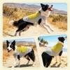 Summer Dog Cooling Clothes with Ice Pack Pocket Reflective Breathable Heat Relief Pet Vest for Medium Large Dogs Pet Costume