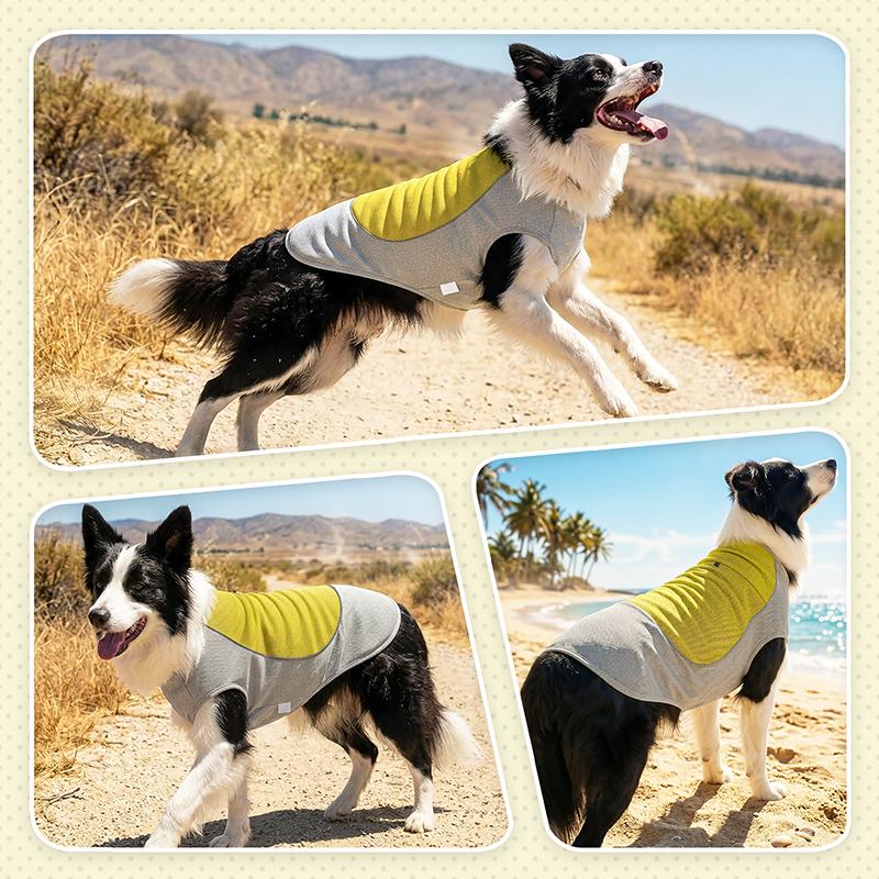 Summer Dog Cooling Clothes with Ice Pack Pocket Reflective Breathable Heat Relief Pet Vest for Medium Large Dogs Pet Costume