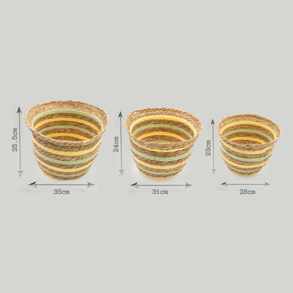 Seagrass & Straw Vase Shaped Baskets – Natural Yellow & Green – Set of 3