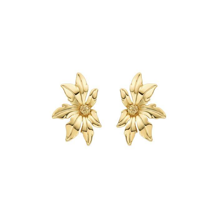 Luxenter Earrings and 18k Gold Plated - Aucell