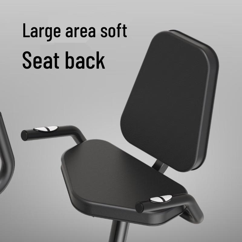 Xin Zheng Recumbent Magnetic Exercise Bike