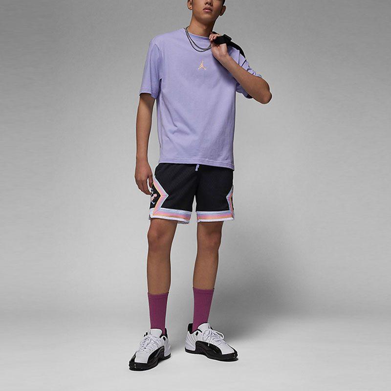 Jordan T Shirt Men's Ice Beauty Lilac FD6555-538