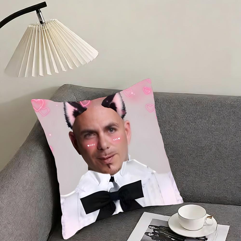 

MMr WorldwideS Pitbull Cushion Cover Pillowcase Ultra Soft Skin Friendly Fabric Cloud Like Comfort Concealed Zipper 30x30cm