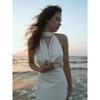 Summer New Satin Halter Dress Women's Sexy V-neck Backless Slim Fit Long Maxi Dress European American Crossbody Women's Clothing