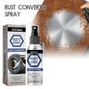 RAYHONG Anti Rust Converter Spray Car Wheels Tires Rims Door Locks Cleaning Rust Removing Retrofit Lubricant