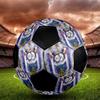 SIZE 5 RSC Anderlecht Soccer Ball Colorful All Ages Machine Stitched PVC Competition Ready Durable High-Bounce