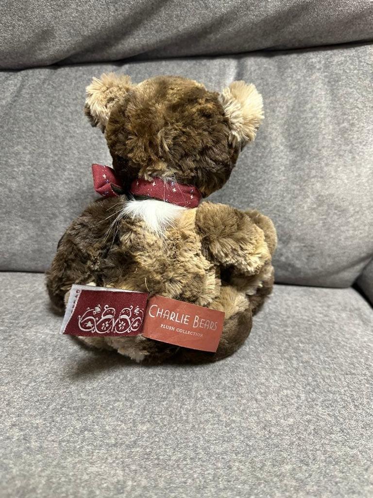 [USED] CHARLIE BEARS Charlie Bears Teddy Bear