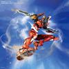 RG Evangelion General-purpose humanoid decisive battle weapon Android Evangelion Regular practical type Unit 2 (advanced mass production unit) 1144 sc