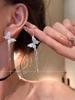 Silver needle flash zircon earrings, women's exquisite temperament stud earrings, spring and summer earrings.