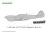 Eduard Dual Combo Royal Class Warhawk Plastic Model Kit EDUR0025 1/48 P-40N (Airplane)