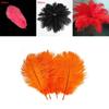 Beautifully Crafted 12-14 Inch Natural Ostrich Feathers For Luxurious Table Displays